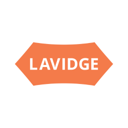 Lavidge Website Sponsor Logo Another Hand Advantage affordable website design and online marketing